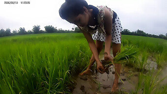 Gadis Asia Amatir Memamerkan Keahlian Telanjangannya Di Tempat Umum