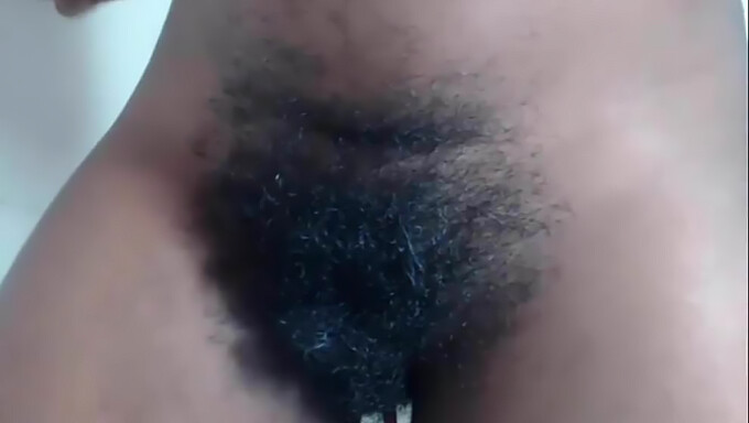 Los Momentos Más Peludos De La Ébano Negra En Video Hd