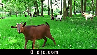 Enteada Pequena Dá Uma Punheta E Um Boquete Ásperos Para O Enteado