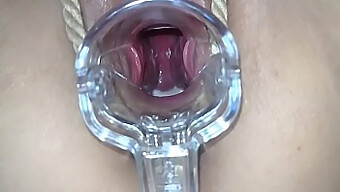 Brunette Asian'S Pussy Explored With Sex Toy