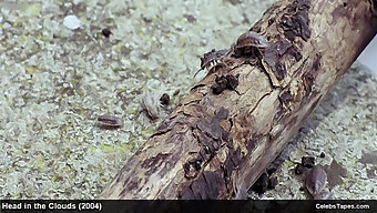 Kändis Med Stora Naturliga Bröst I En Hård Lesbisk Sexhistoria