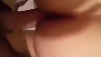 Algerian Beauty Shows Off Her Big Tits And Cock